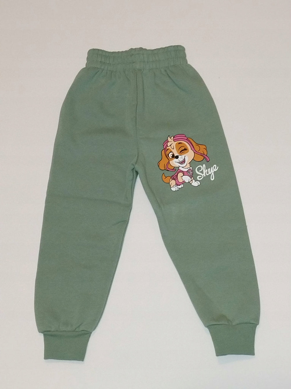 Dres dla dziewczynki komplet Skye zielony bluza spodnie Bambik